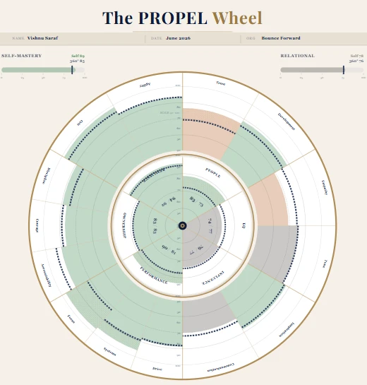 PROPEL Leadership Wheel — scores across six leadership dimensions